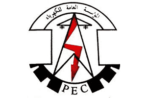 Public Electricity Corporation